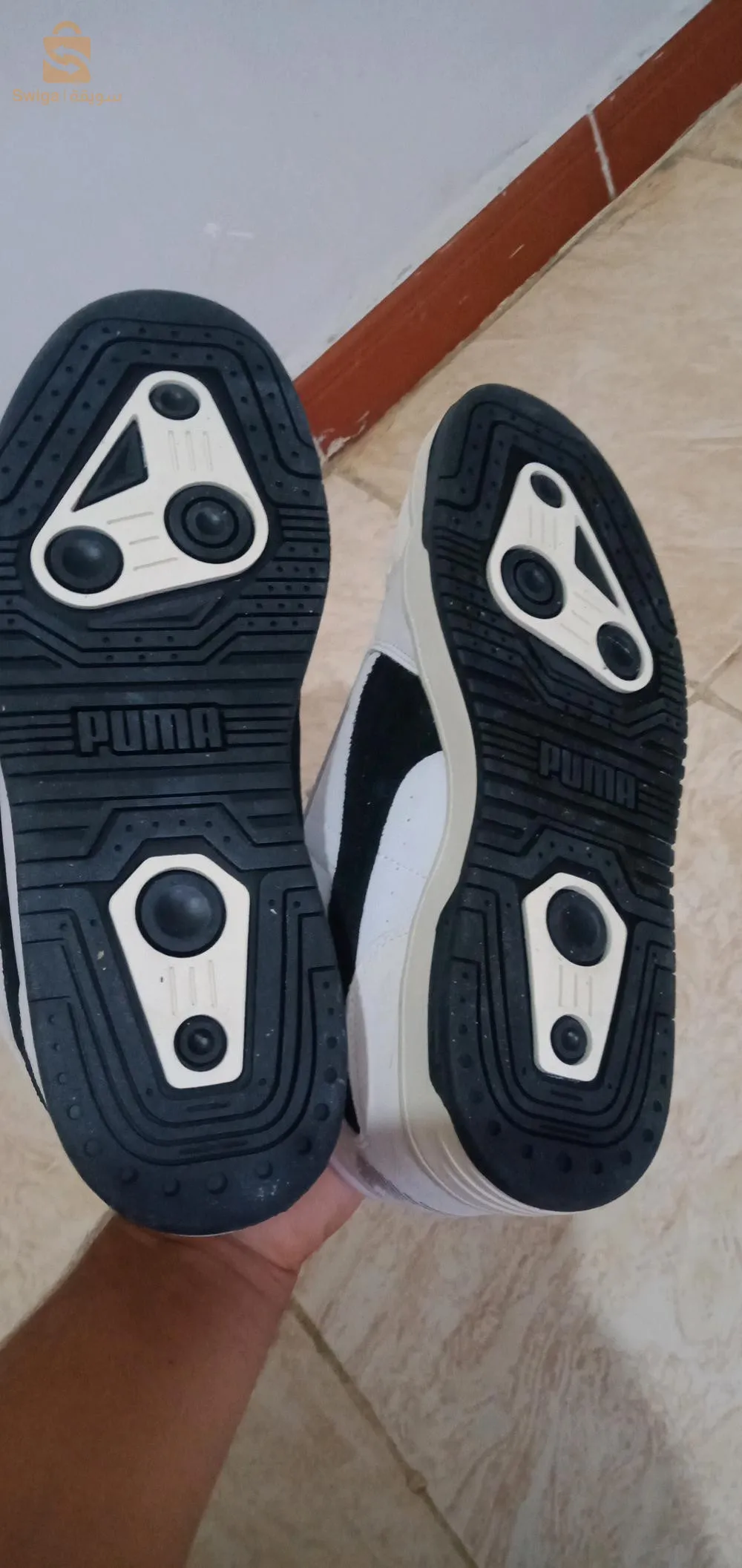 بين الويدان