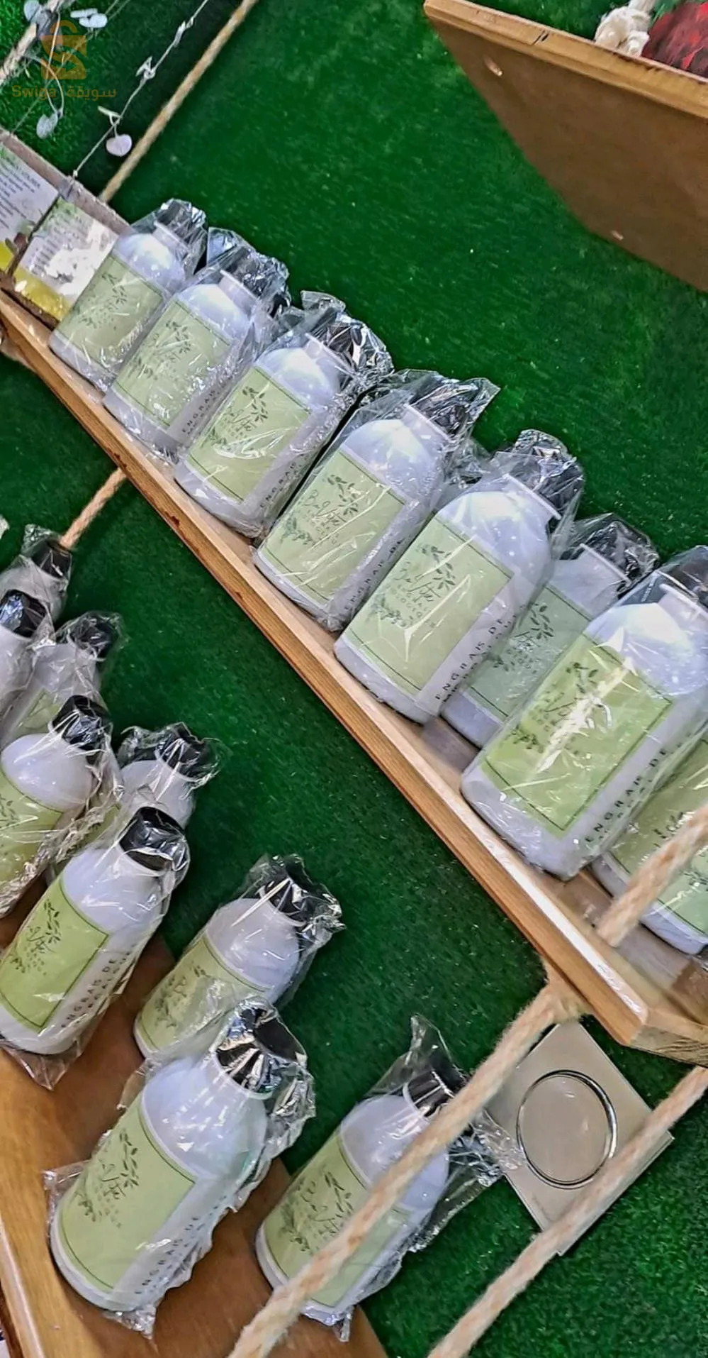 solution de la chlorelle pour renforcer les plantes malades et faibles, meilleure pour leur multiplication et des feuilles vertes.