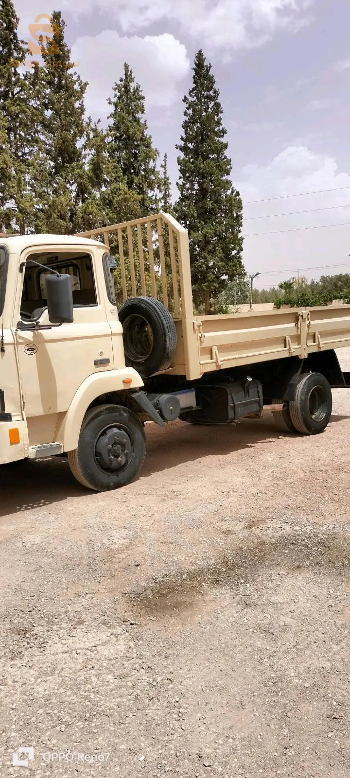 سعيدة