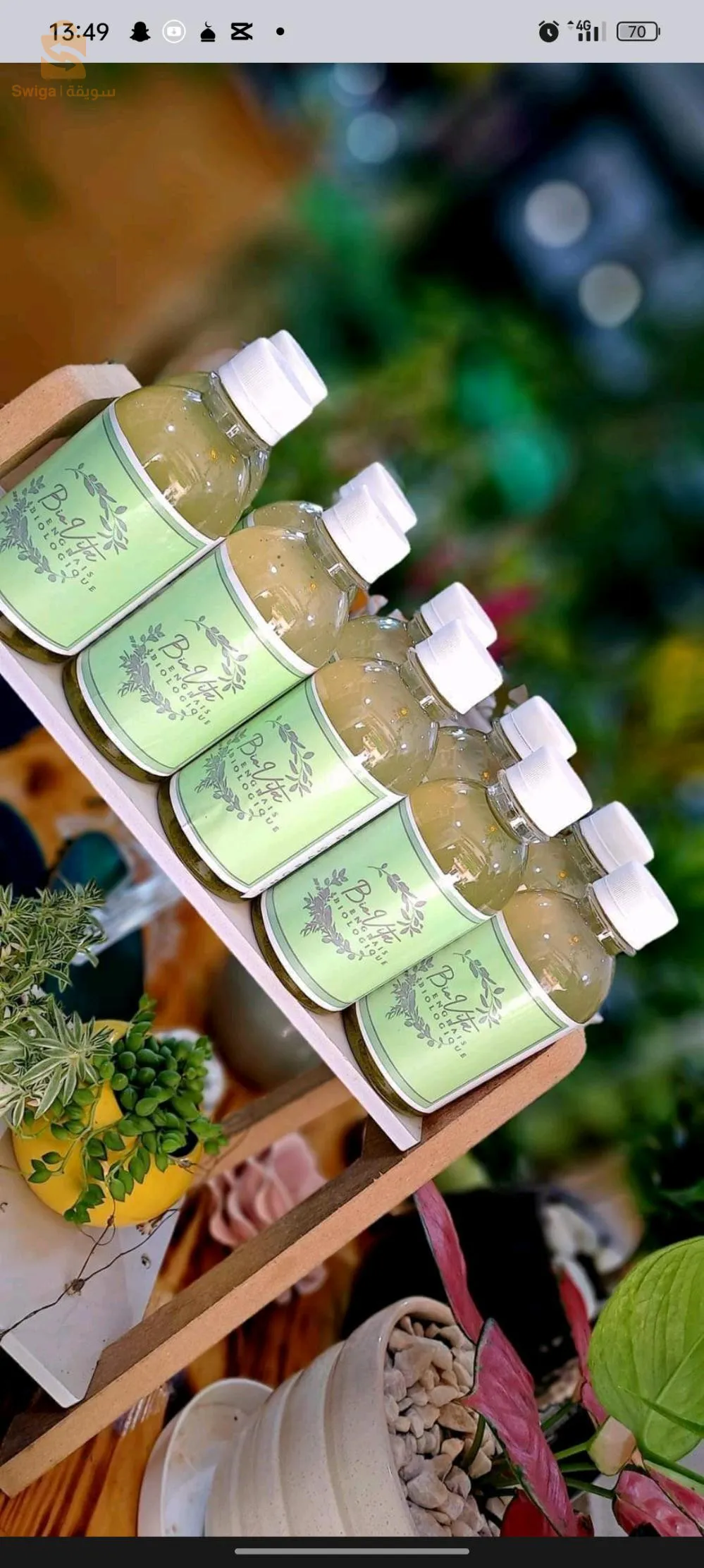 solution de la chlorelle pour renforcer les plantes malades et faibles, meilleure pour leur multiplication et des feuilles vertes.