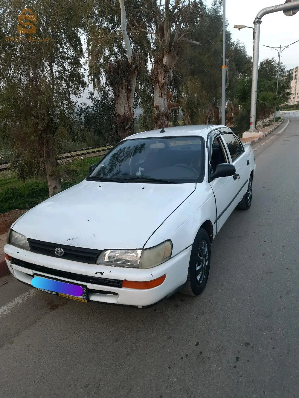 الرويبة