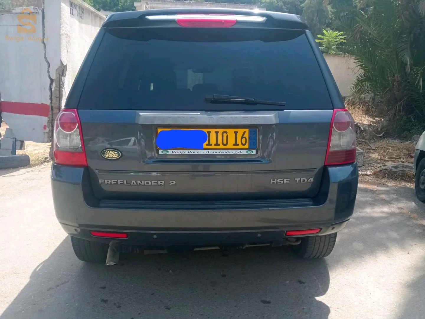 الجزائر