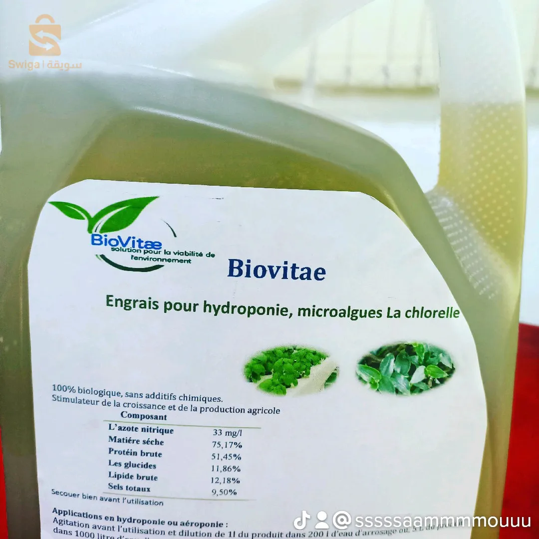 solution de la chlorelle pour renforcer les plantes malades et faibles, meilleure pour leur multiplication et des feuilles vertes.