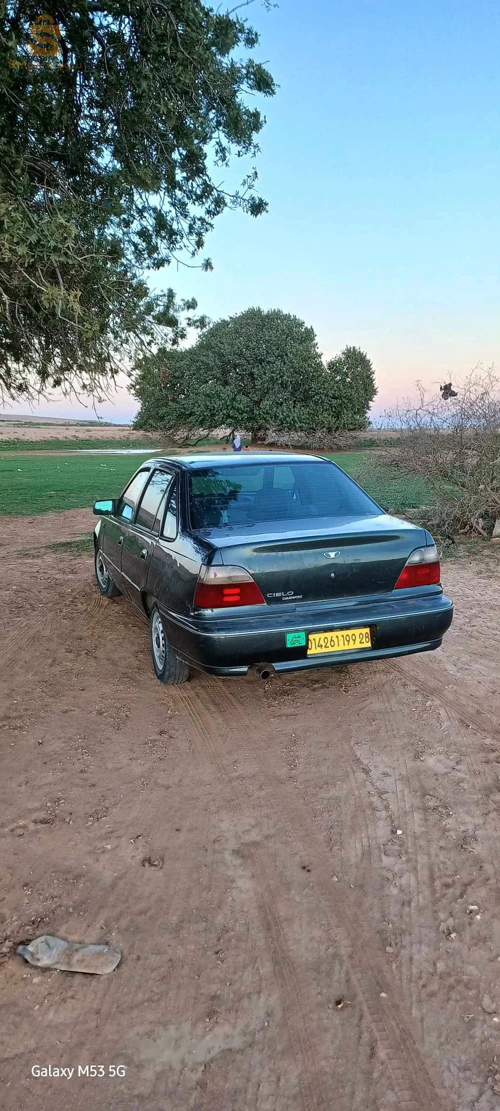 المسيلة