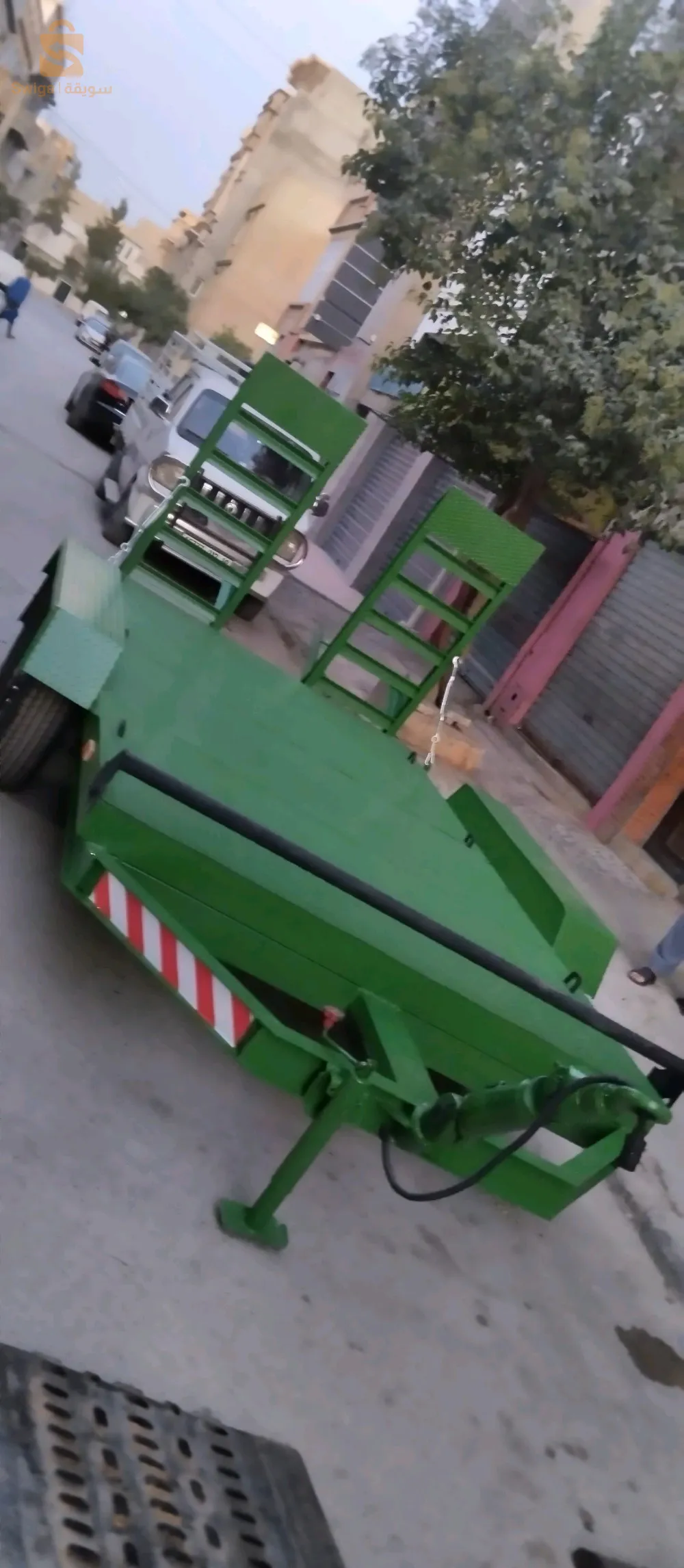 الجزائر