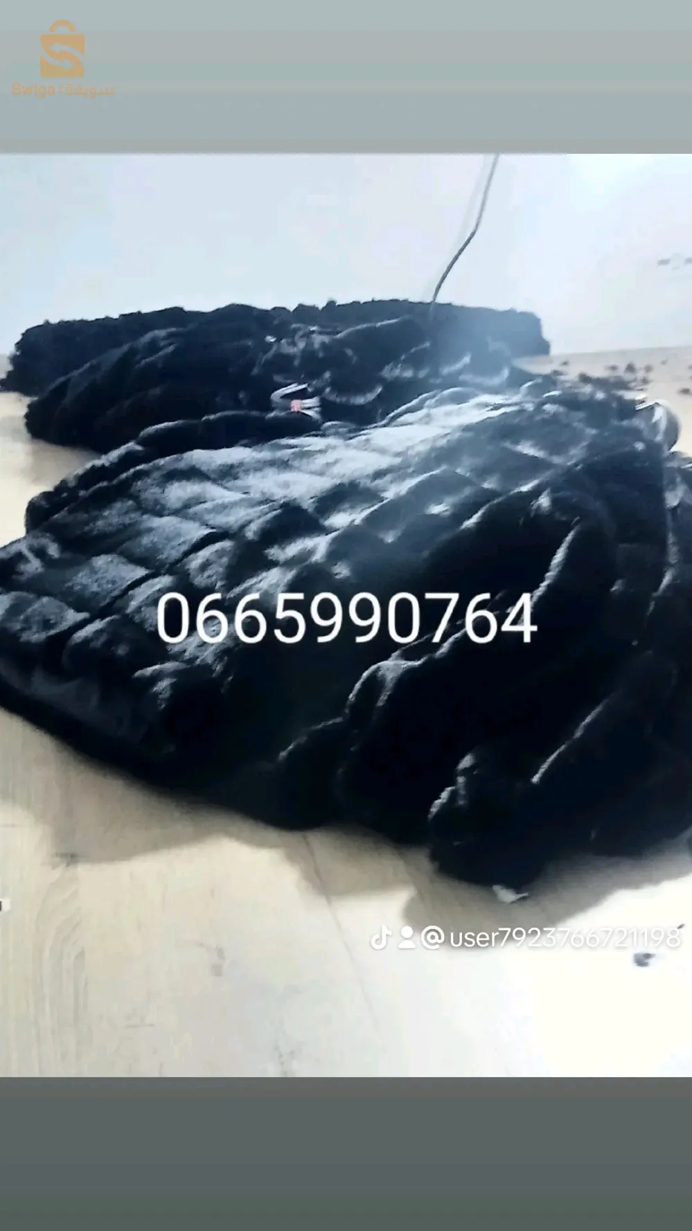 كاليتوس الجزائر 0665990764