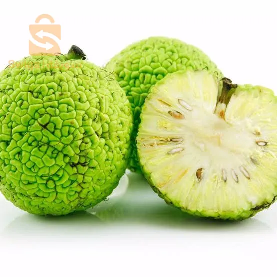 ام البواقي