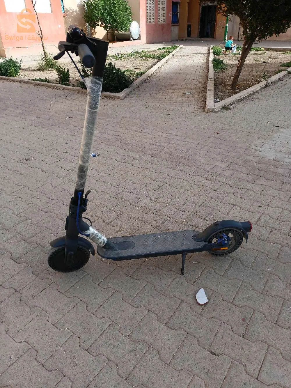 Troutina Elquétrique