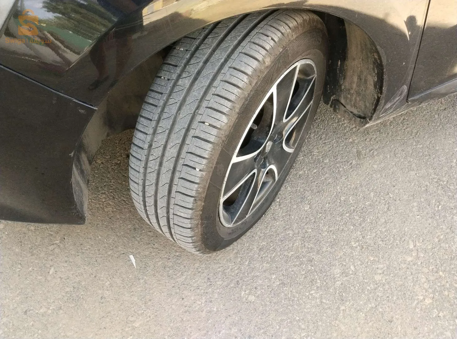 الحي الجامعي العالية