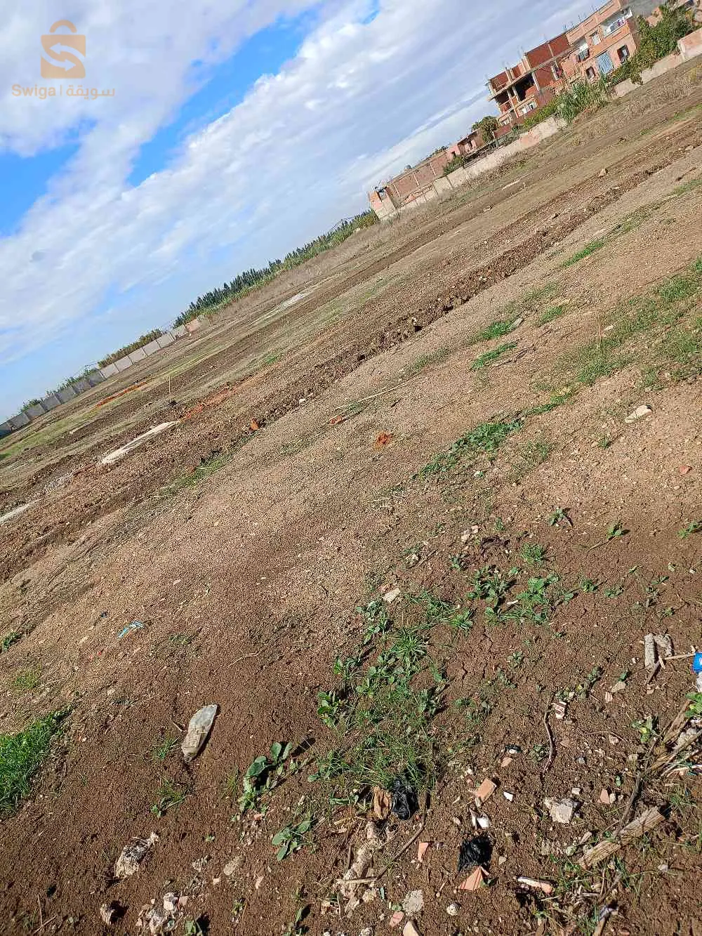 Immobilier hamdi 0540513577