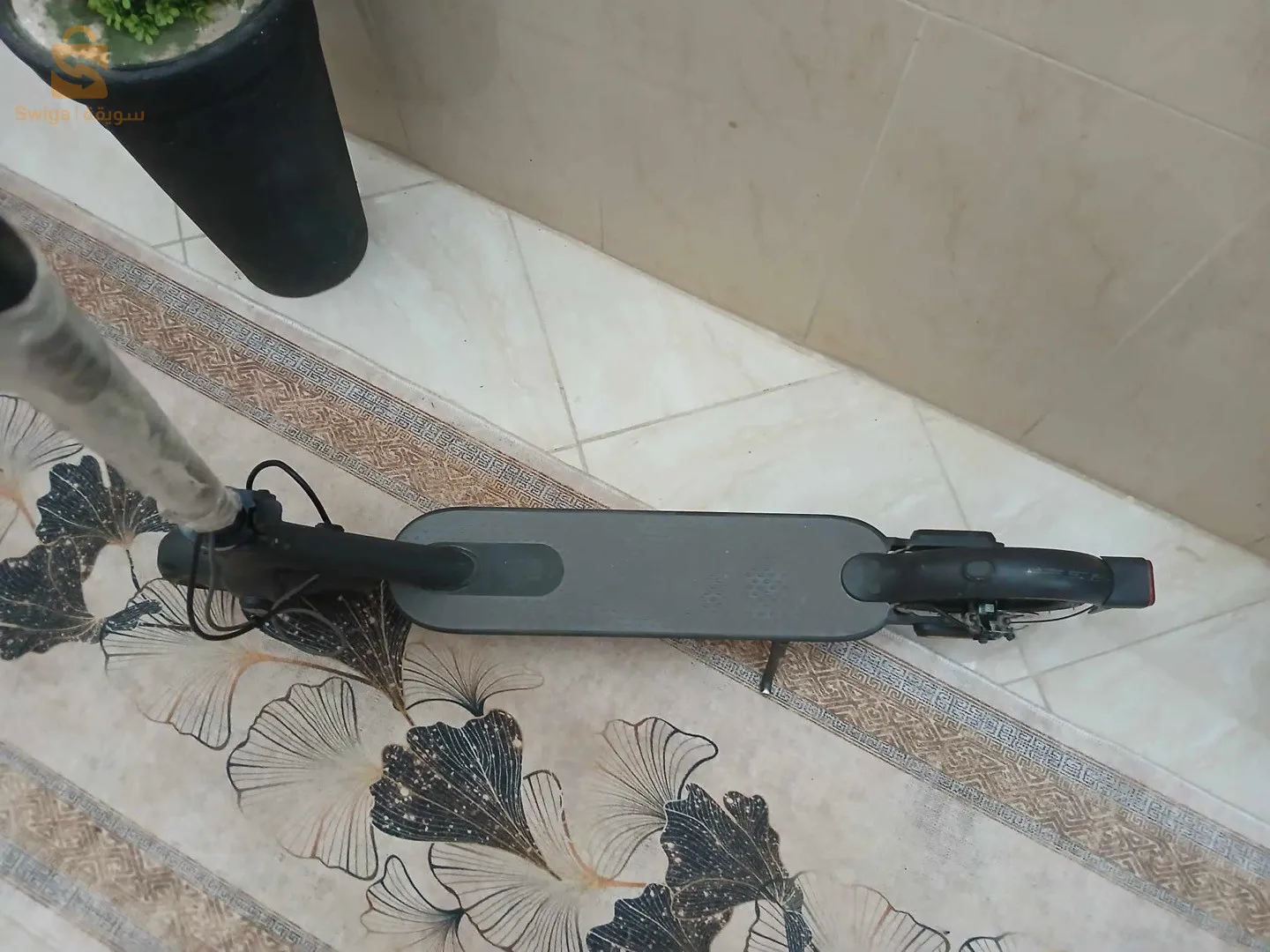 ترتينات