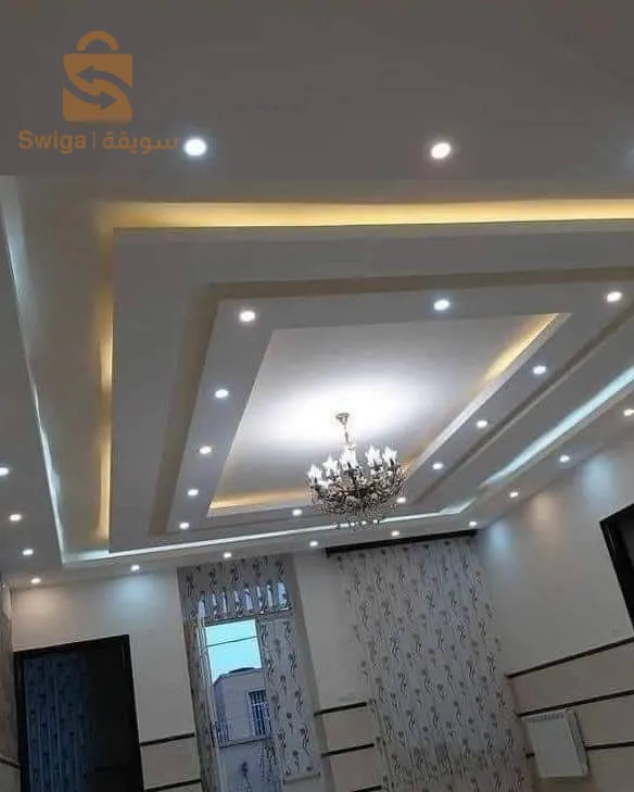 ديكورات اسقف معلقة بلاكو بلاتر البليدة
