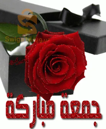 حي شافات