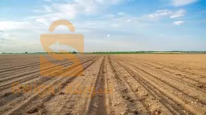 بلدية حاسي دحو