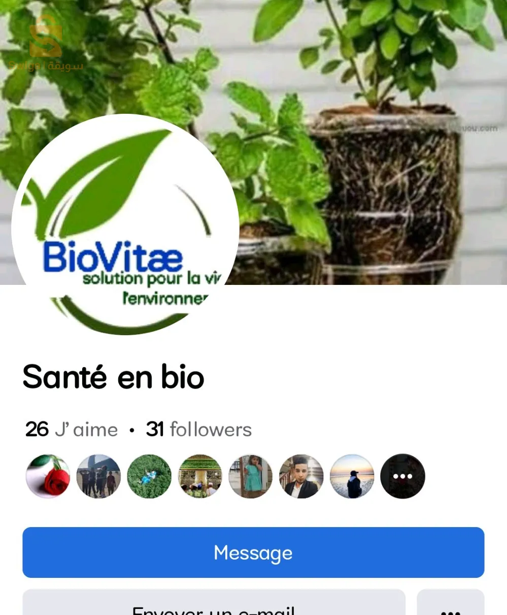 solution de la chlorelle pour renforcer les plantes malades et faibles, meilleure pour leur multiplication et des feuilles vertes.