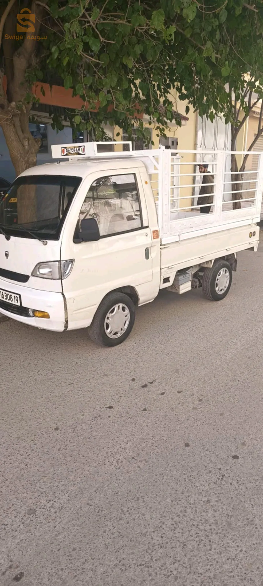 قلال 
سطيف