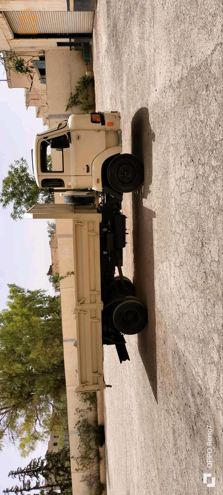 سعيدة