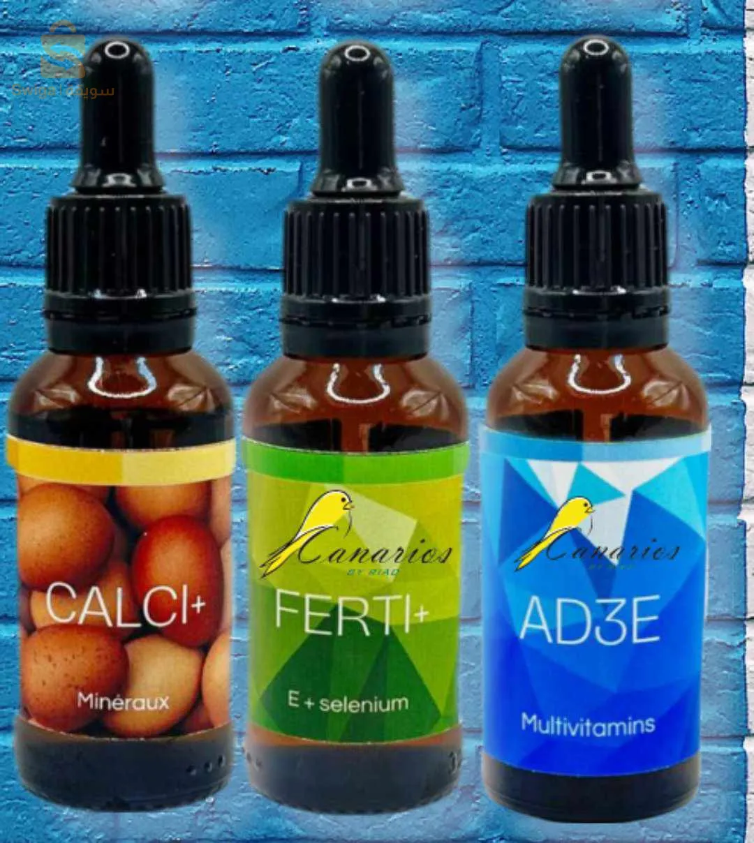 complément alimentaire oiseaux