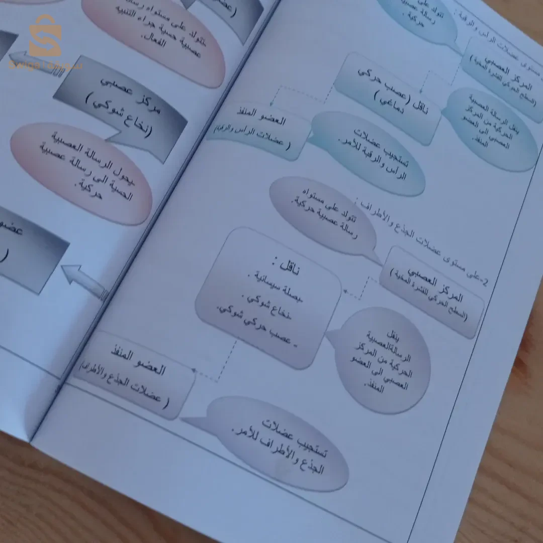 ملخص العلوم الطبيعية