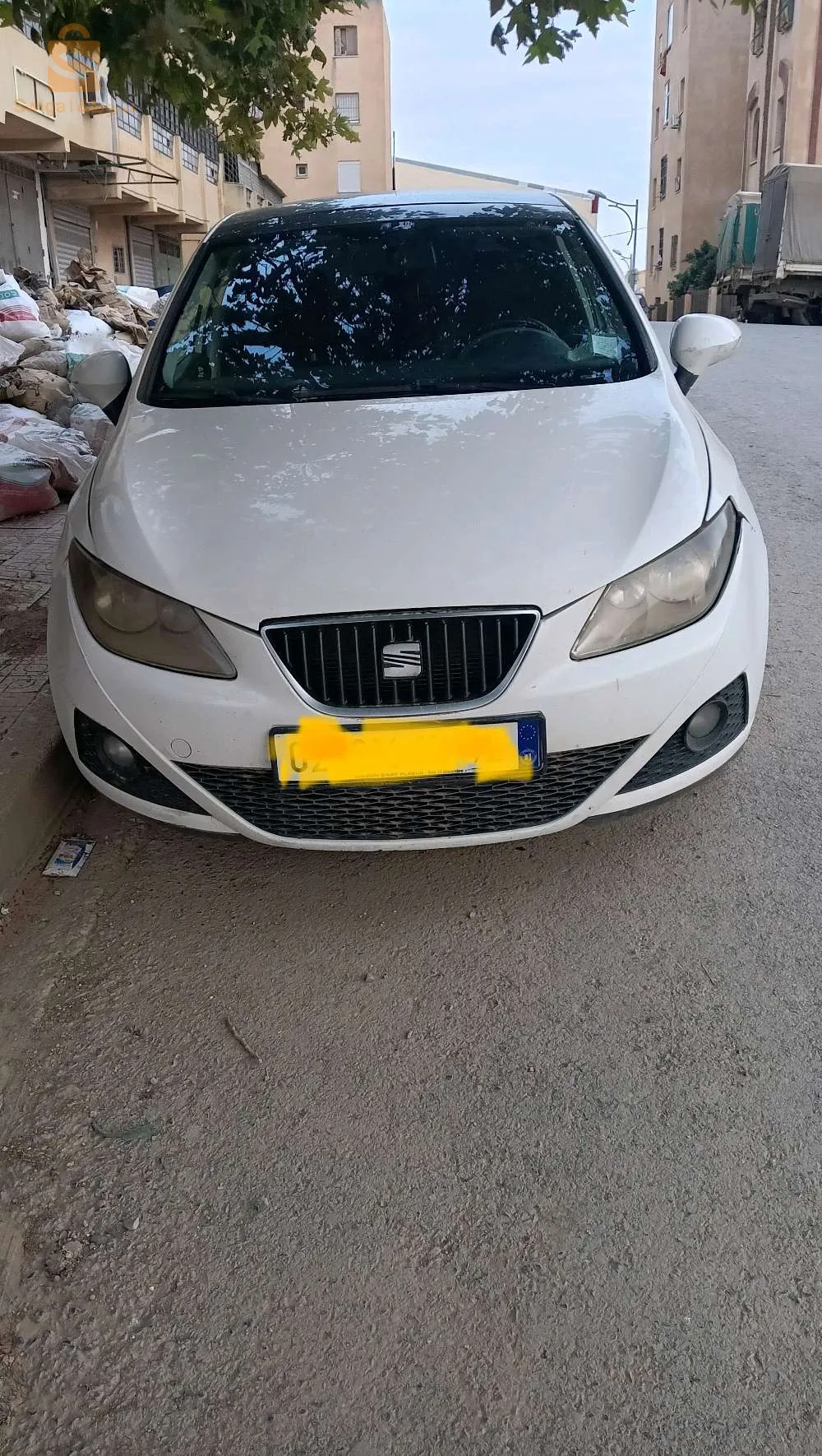 المدية