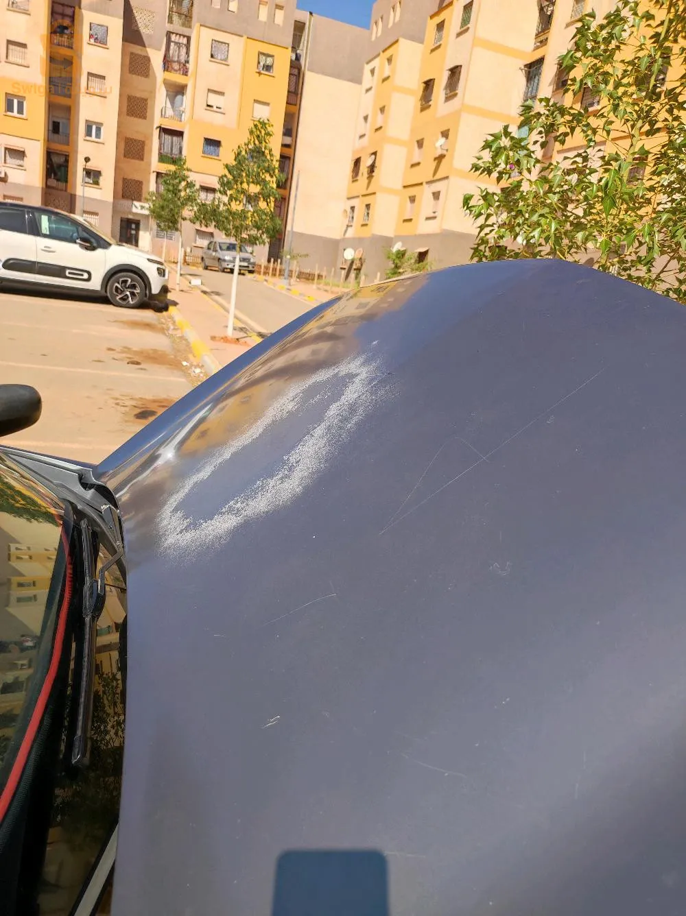 سيارة عاءلية