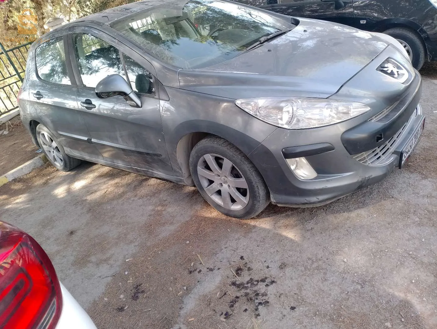 308fiha parchok sbiga