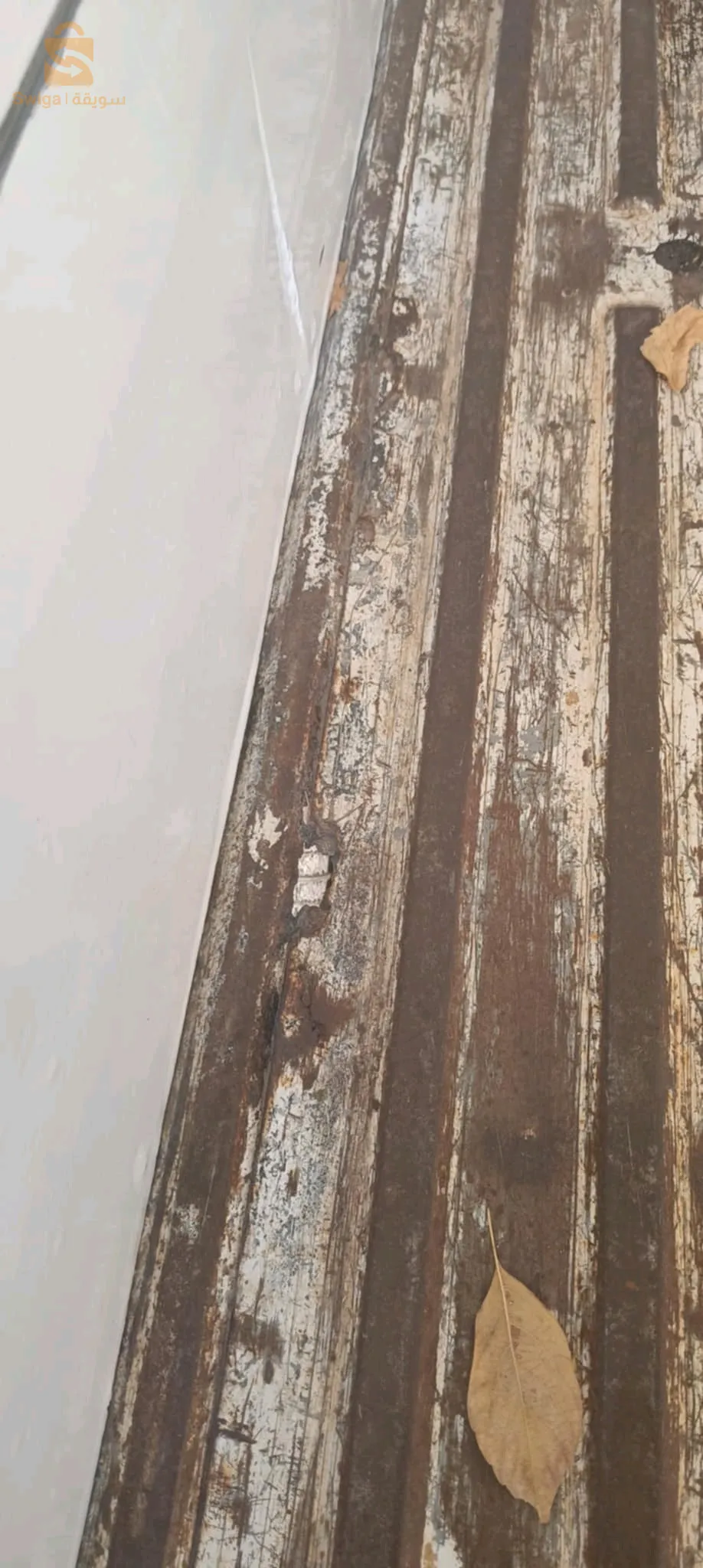 قلال 
سطيف