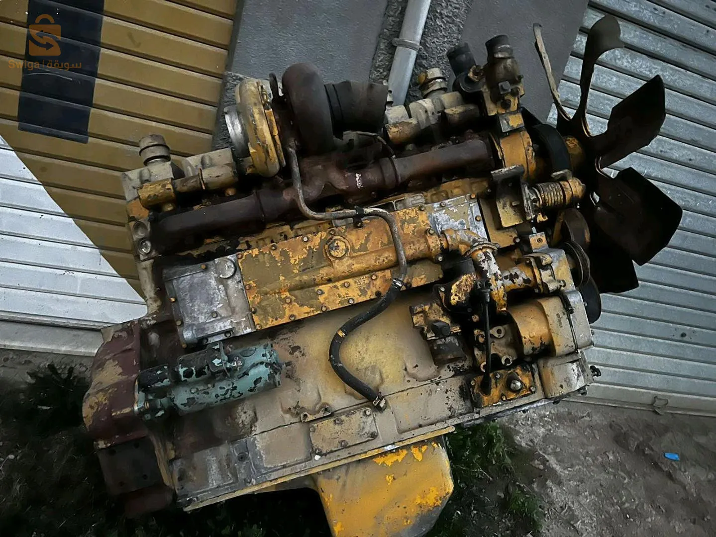 سطيف