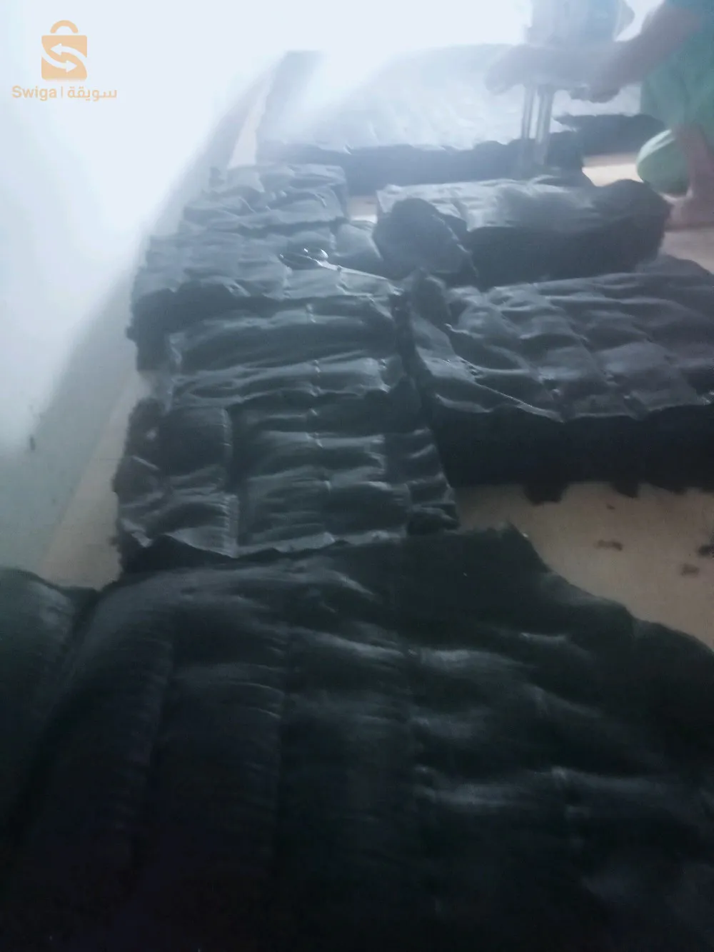 كاليتوس الجزائر 0665990764