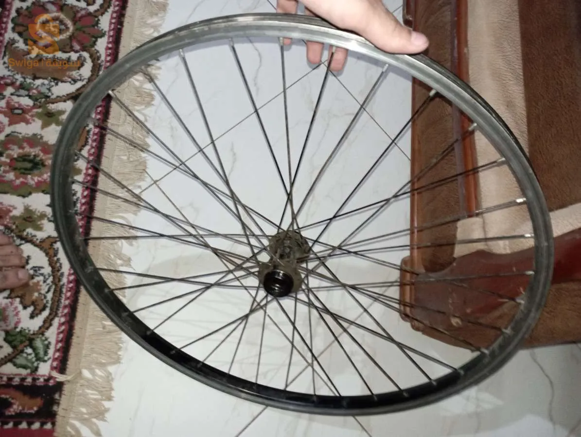 jente arrière de vélo classique