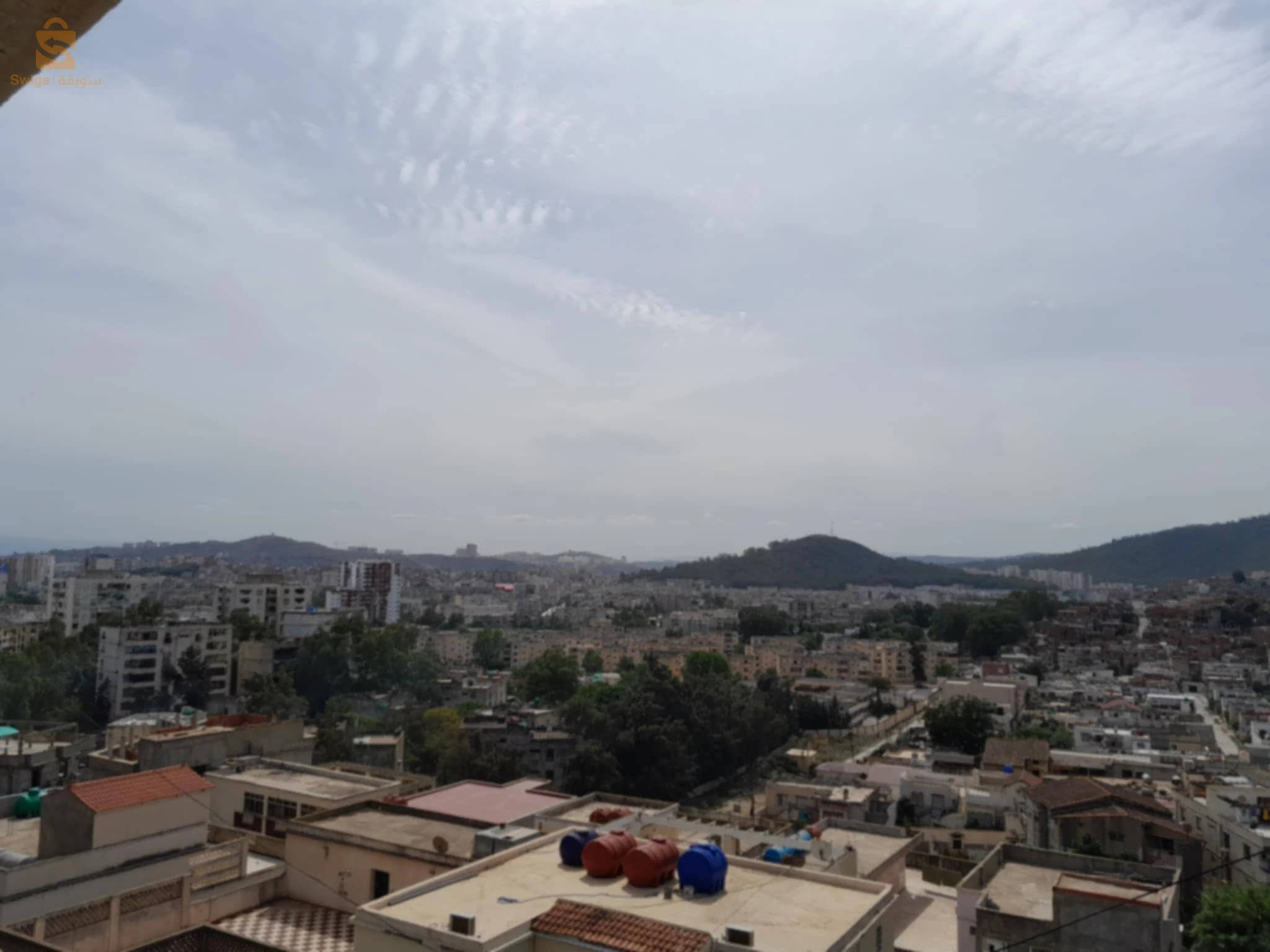وسيط عقاري شط ولاية طارف