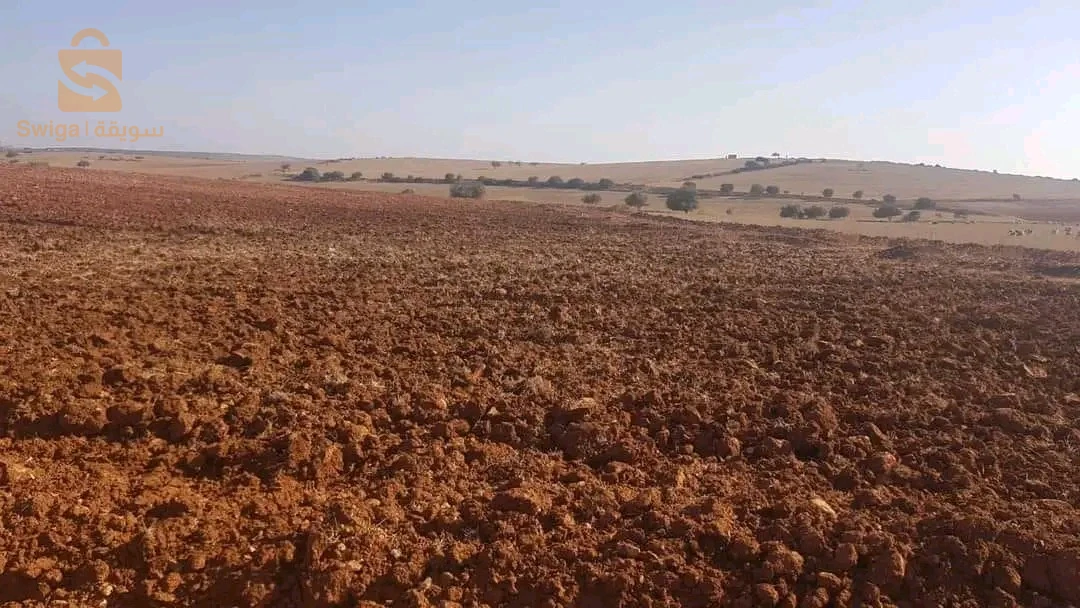 ارض زراعيه
