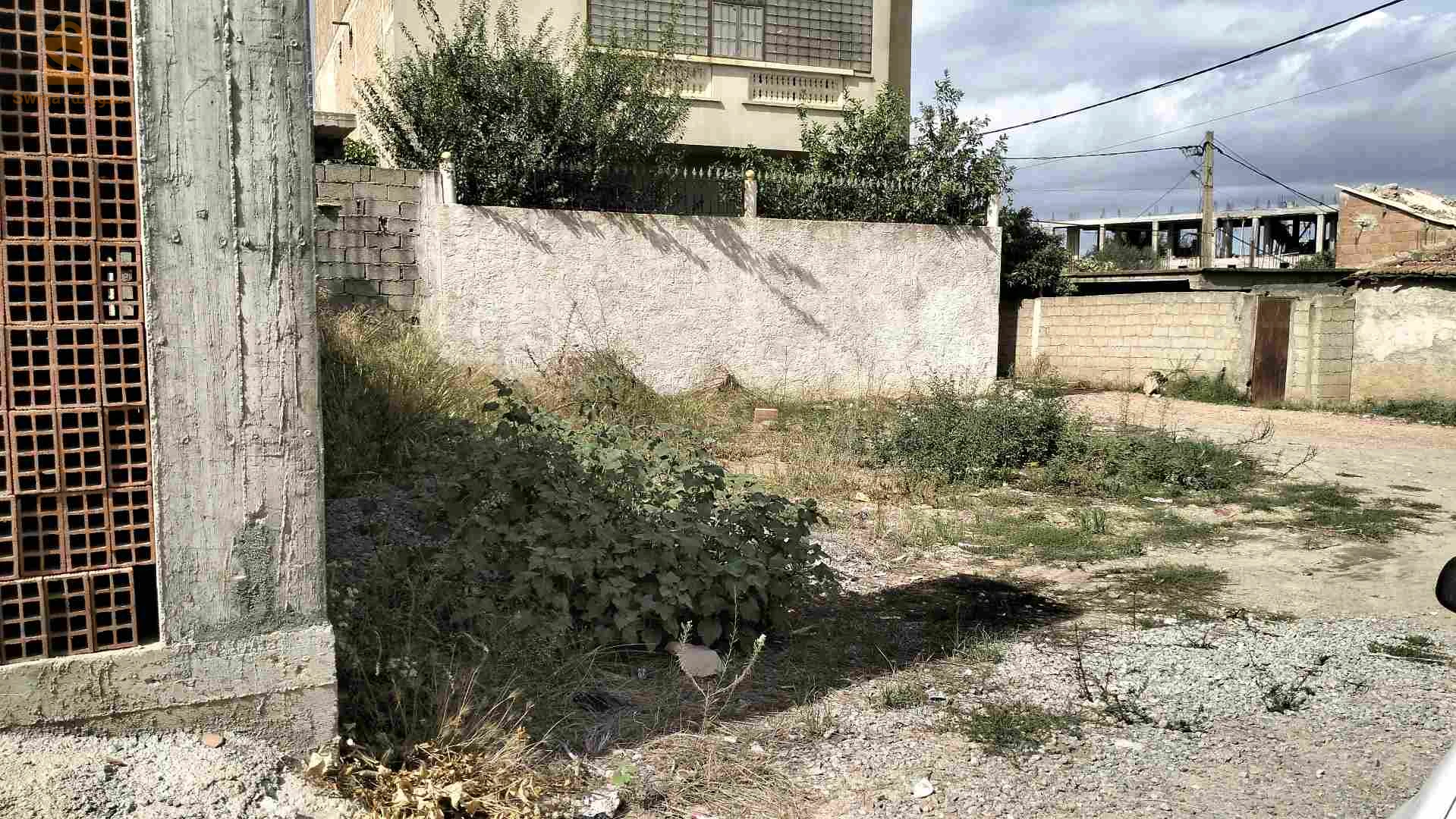 خميس الخشنة حي الشواربية