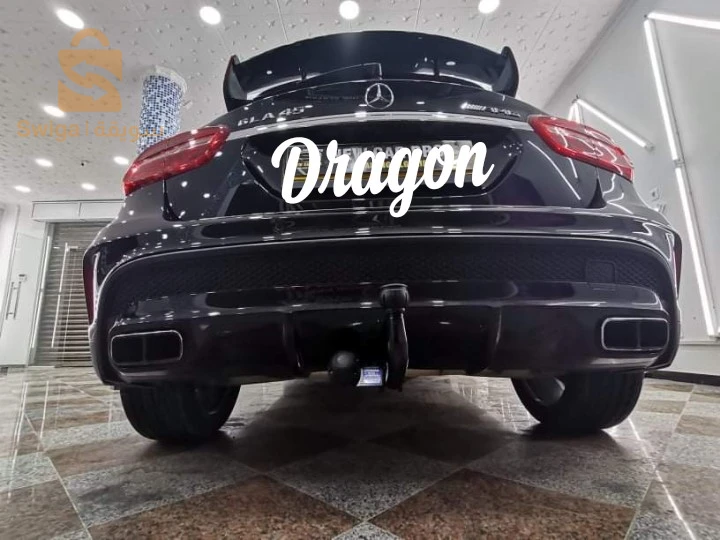boule d'attelage Dragon
