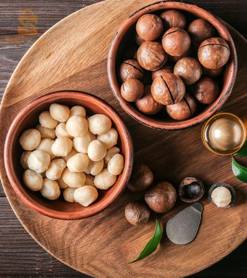 Macadamia - مكاداميا