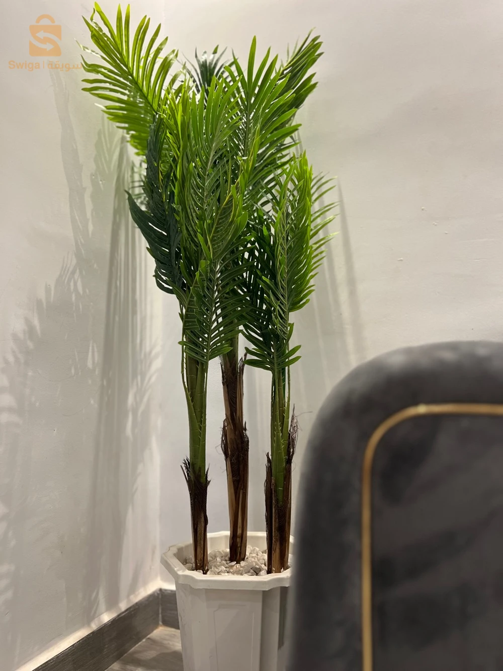 Location par nuitée ✅
ORAN 📍Boulevard des lions 
F3
0657428126 ☎️📞