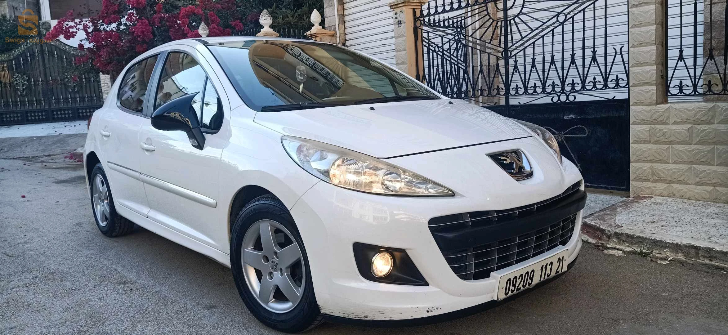 voiture première main zéro peinture