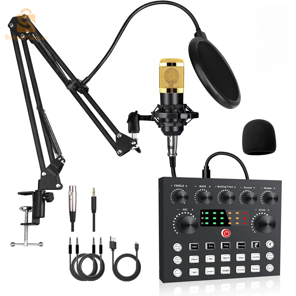 Kits de Microphone BM800 avec Carte Son en Direct, Bras de Suspension en Ciseaux, Support Antichoc et Filtre Anti-Pop