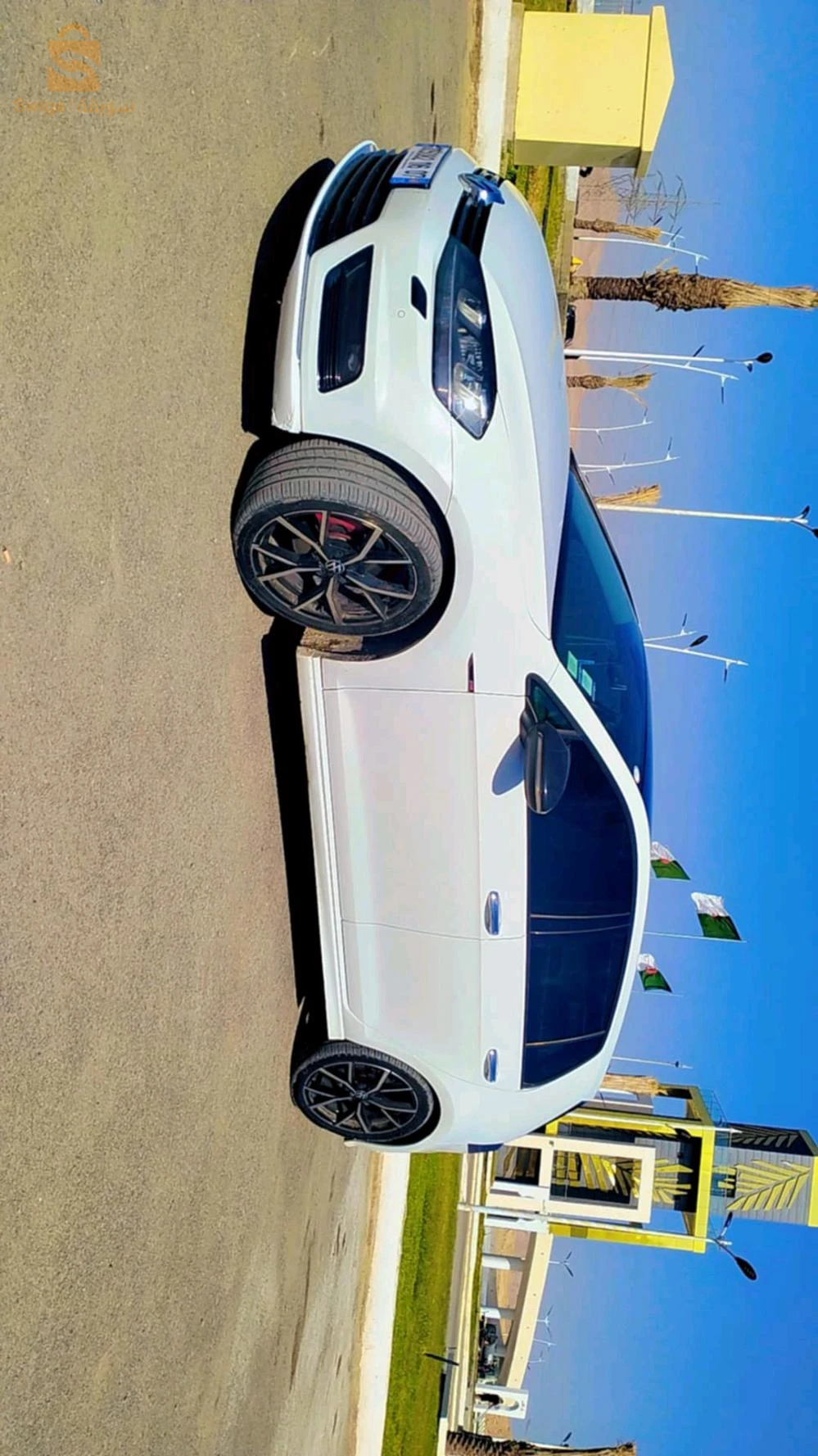 ڨولف7