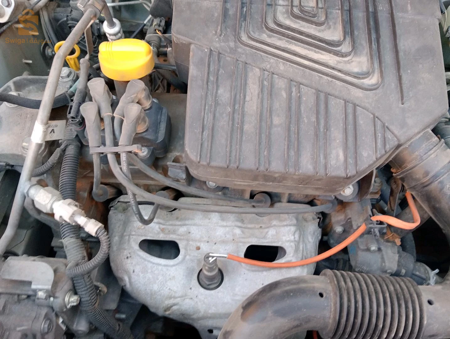 بليل حاسي الرمل