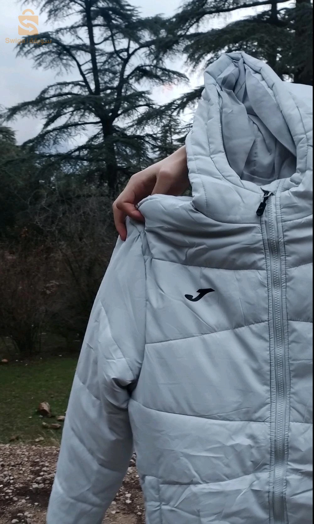 فيستا باركا اوريجينال