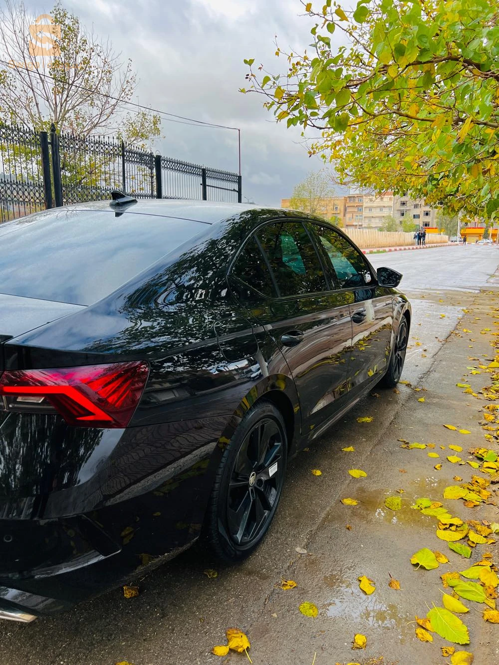 Skoda octavia vrs 2023