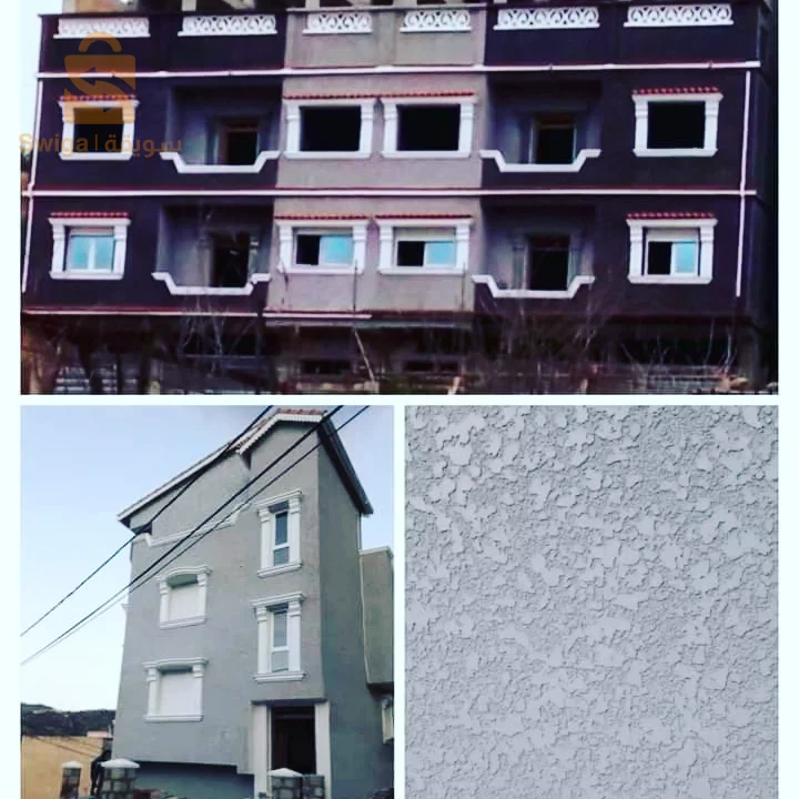 Revêtement Et Décoration façade Extérieur