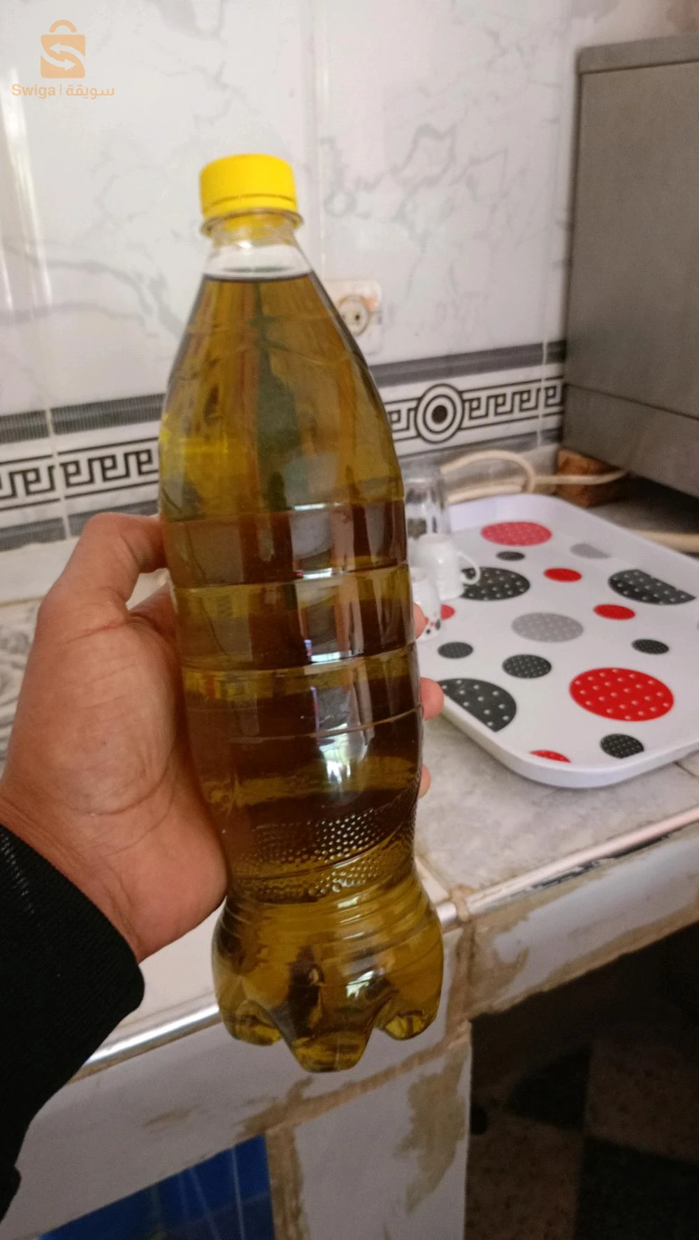 تمالوس ولاية سكيكدة