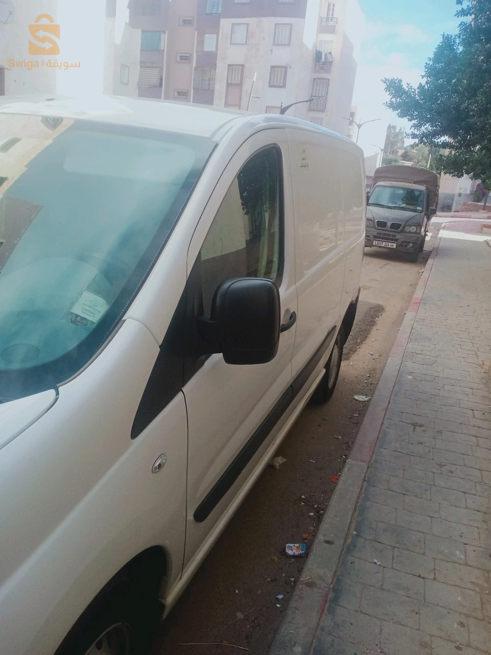 عبن دفلى