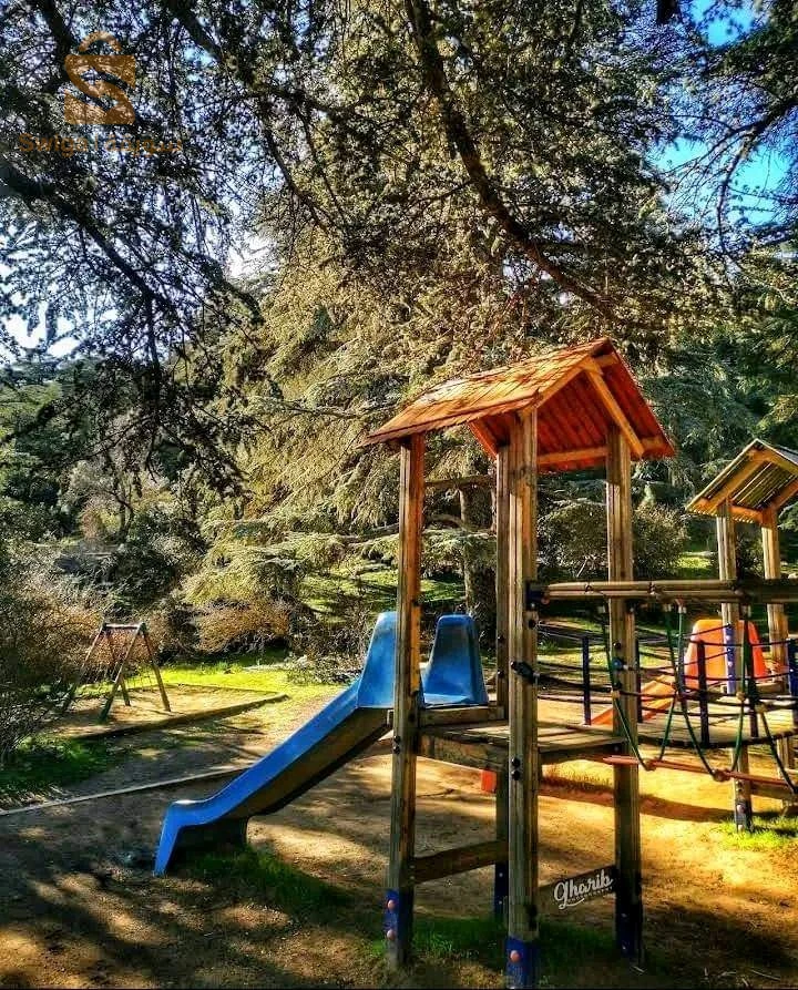 تيارت