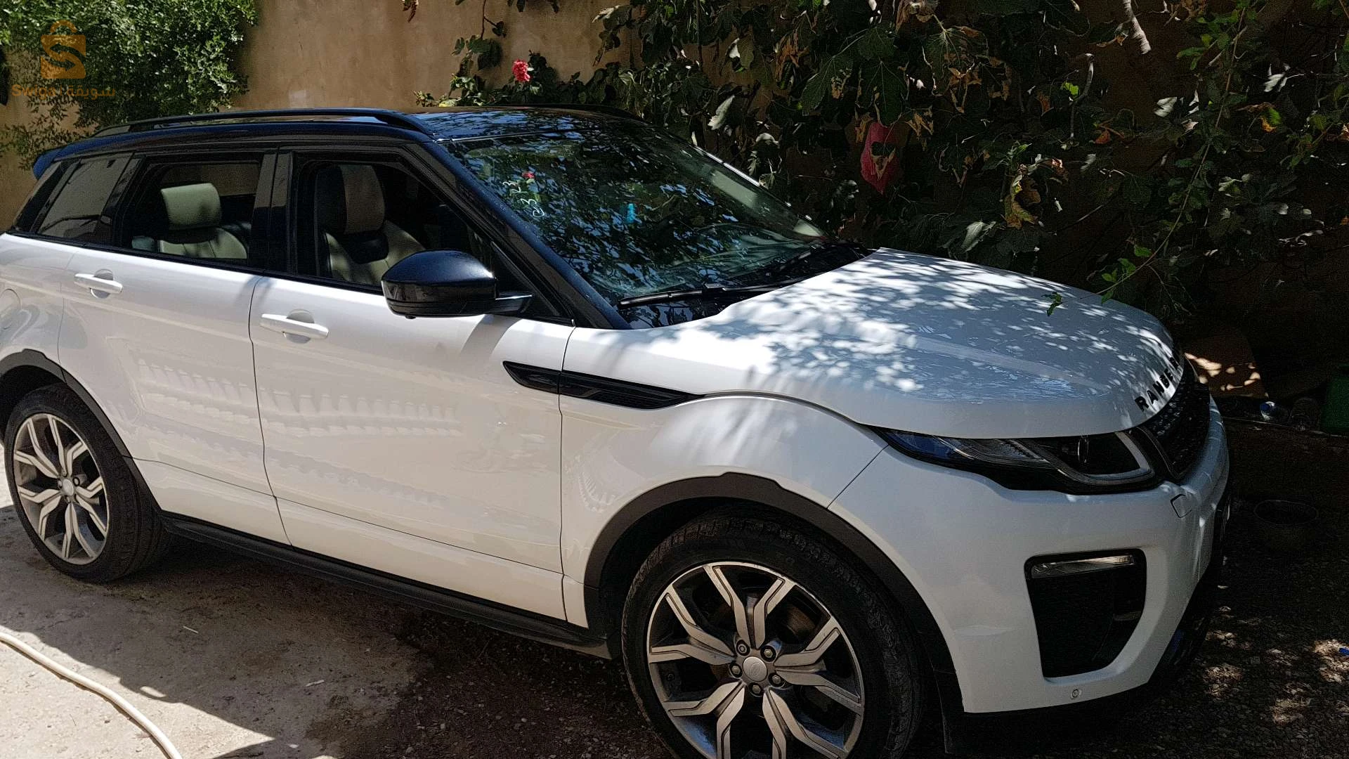 بلدية الشط.. ولاية الطارف