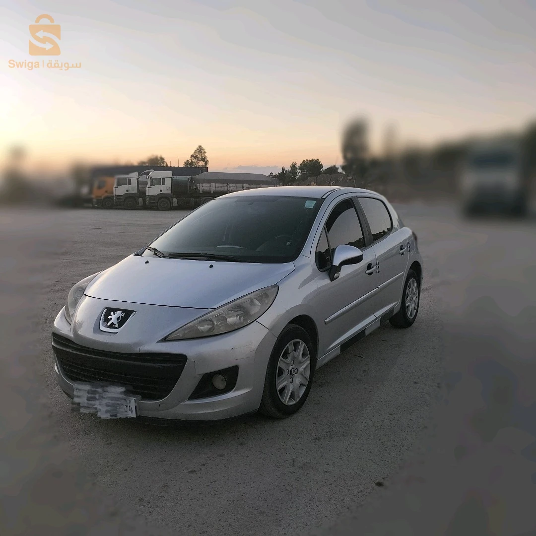 207 +سنة 2013