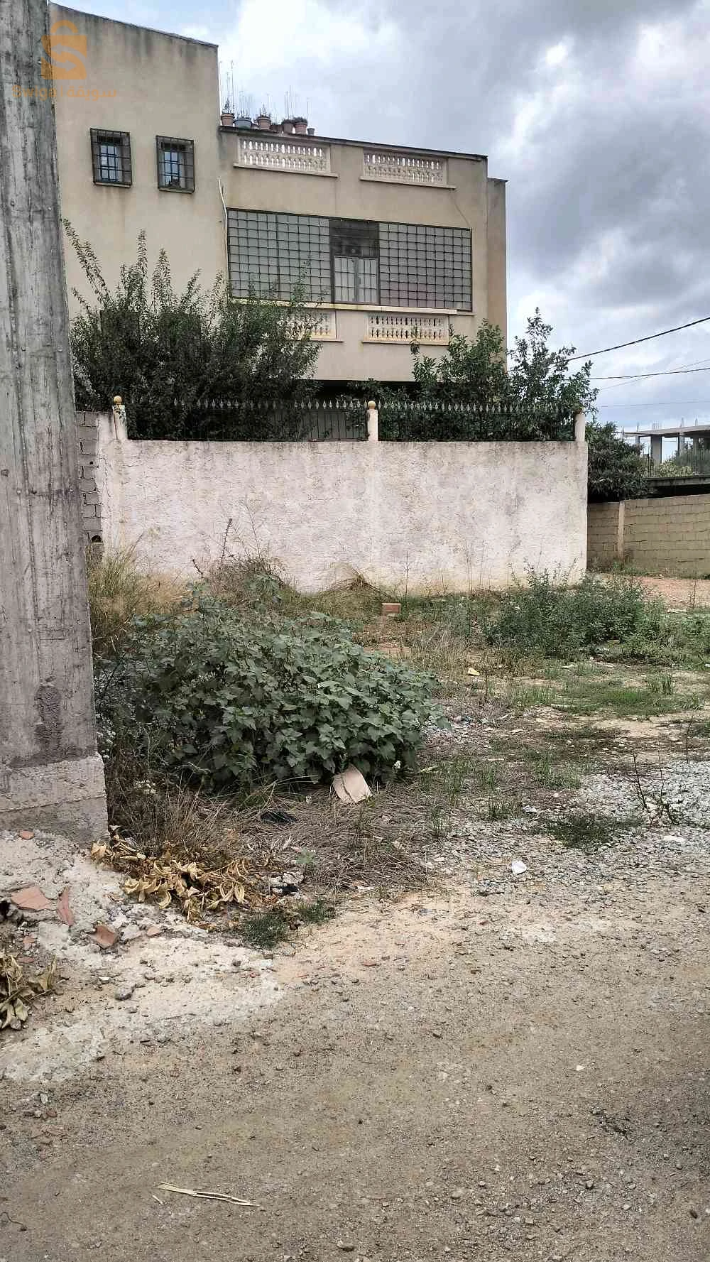 خميس الخشنة حي الشواربية
