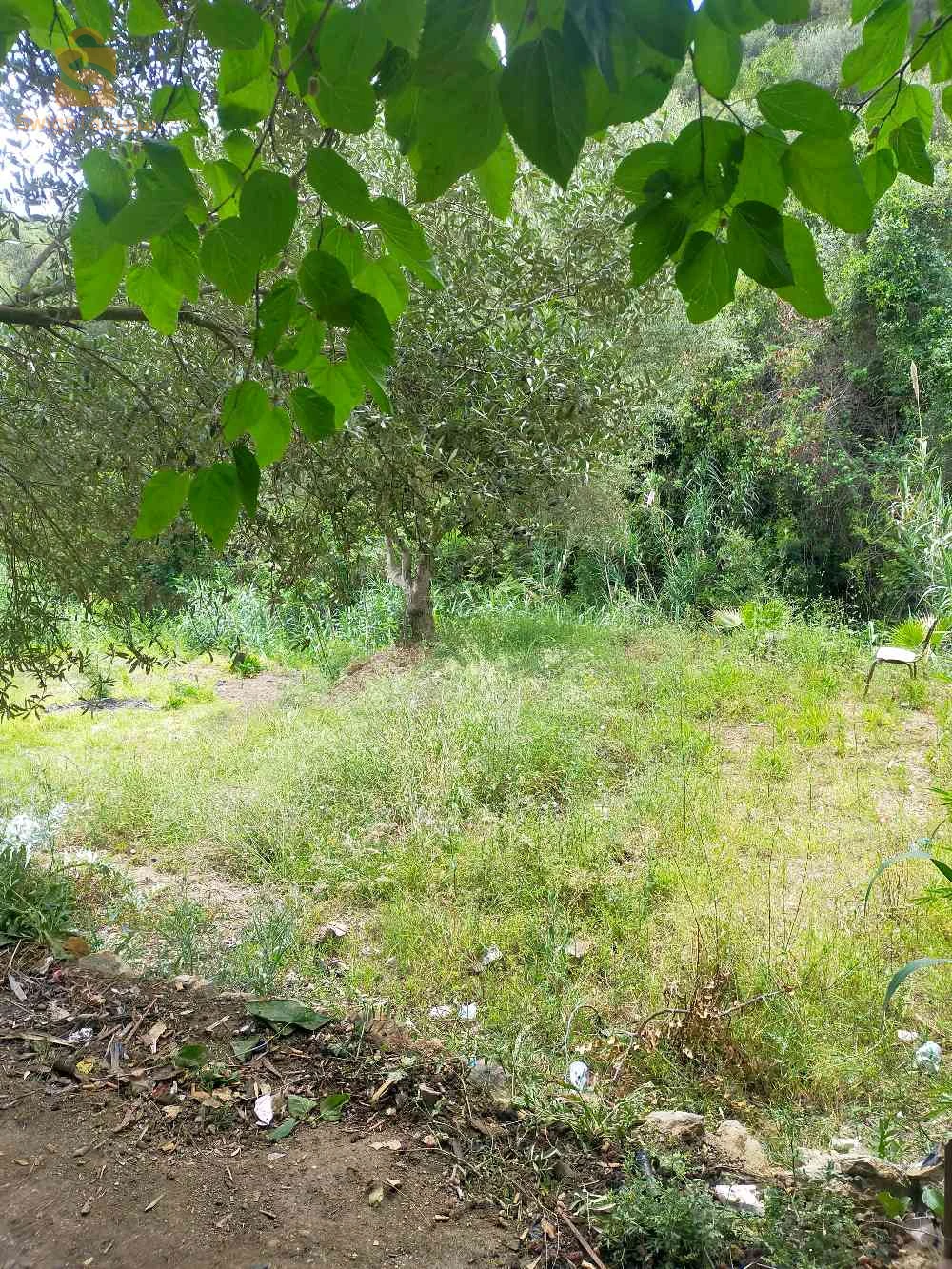 Terrain à vendre